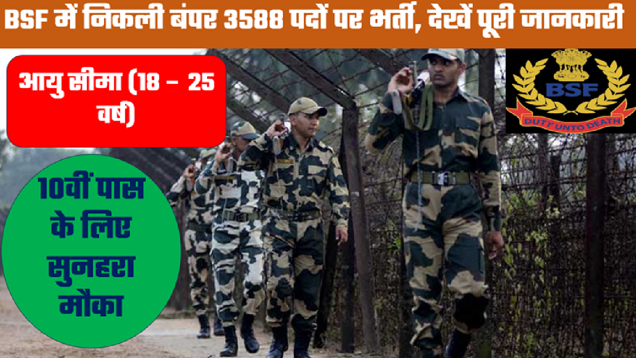 BSF Tradesman Notification 2025