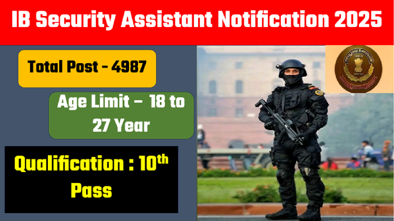 IB Security Assistant 2025